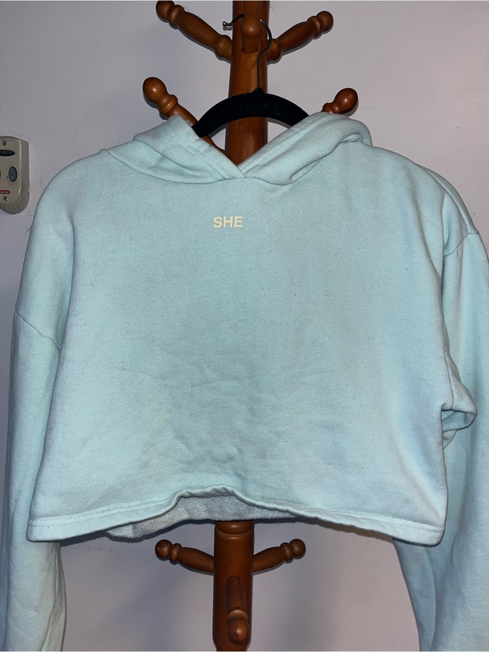 Darc Sport Light Mint Cropped Hoodie with SHE Detail